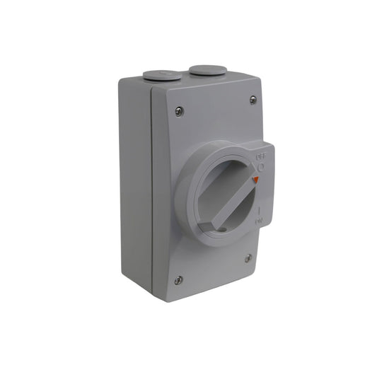 Isolating Switch Surface W/P 2P 250V Grey IP66 40A